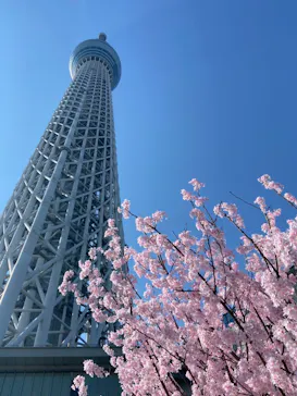 東京スカイツリーに投稿された画像（2025/3/22）