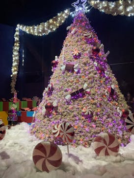 志摩スペイン村パルケエスパーニャに投稿された画像（2025/3/22）