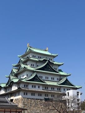 名古屋城に投稿された画像（2025/3/22）