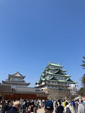 名古屋城に投稿された画像（2025/3/22）