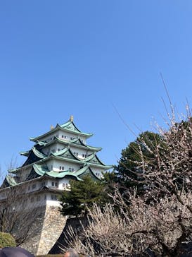 名古屋城に投稿された画像（2025/3/22）
