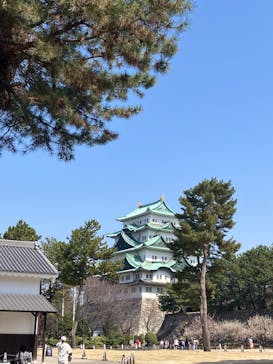 名古屋城に投稿された画像（2025/3/22）