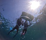 沖縄マリンサービス碧に投稿された画像（2025/3/22）