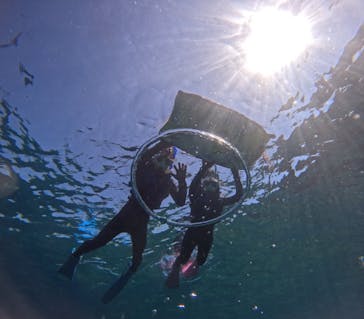 沖縄マリンサービス碧に投稿された画像（2025/3/22）