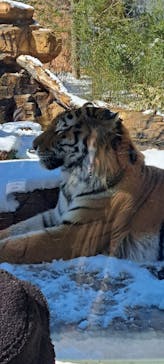 那須どうぶつ王国に投稿された画像（2025/3/22）