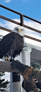 那須どうぶつ王国に投稿された画像（2025/3/22）