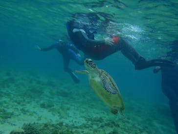 マリンカンパニーに投稿された画像（2025/3/22）