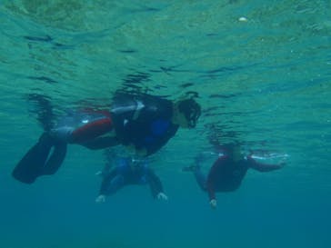 マリンカンパニーに投稿された画像（2025/3/22）