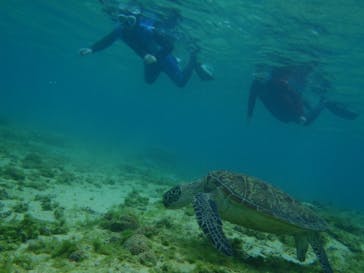 マリンカンパニーに投稿された画像（2025/3/22）