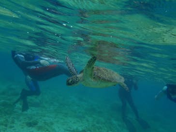 マリンカンパニーに投稿された画像（2025/3/22）