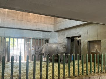 名古屋市東山動植物園に投稿された画像（2025/3/22）