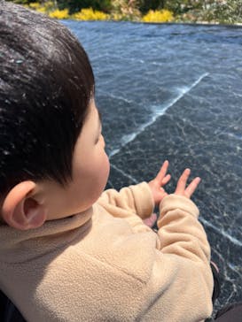 彫刻の森美術館に投稿された画像（2025/3/22）