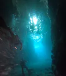 武藤潜水に投稿された画像（2025/3/22）