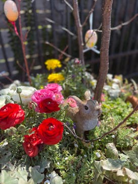 横浜イングリッシュガーデンに投稿された画像（2025/3/22）