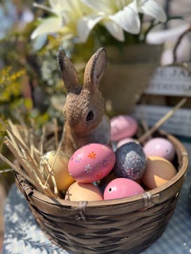 横浜イングリッシュガーデンに投稿された画像（2025/3/22）