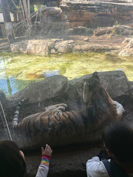 恩賜上野動物園に投稿された画像（2025/3/22）