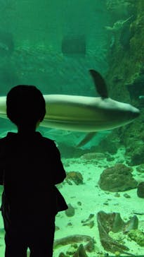 南知多ビーチランド＆南知多おもちゃ王国に投稿された画像（2025/3/22）