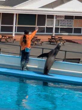 南知多ビーチランド＆南知多おもちゃ王国に投稿された画像（2025/3/22）