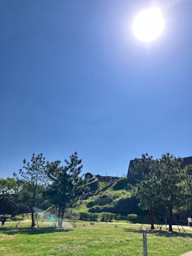 首里城公園 有料区域に投稿された画像（2025/3/22）