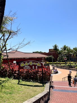 おきなわワールドに投稿された画像（2025/3/22）