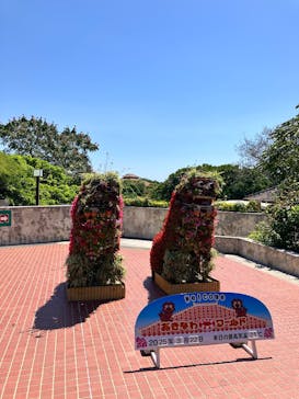 おきなわワールドに投稿された画像（2025/3/22）