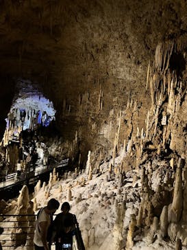 おきなわワールドに投稿された画像（2025/3/22）