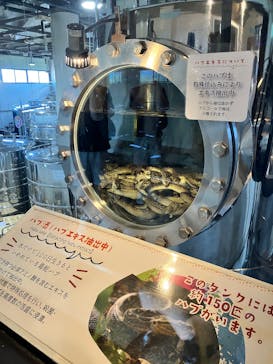 おきなわワールドに投稿された画像（2025/3/22）