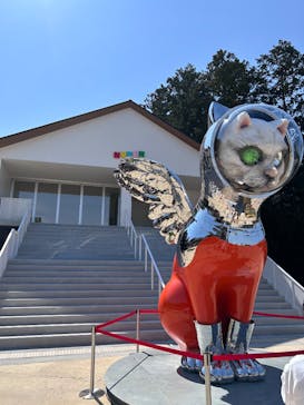 ハイパーミュージアム飯能に投稿された画像（2025/3/22）