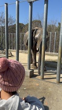 しろとり動物園に投稿された画像（2025/3/22）