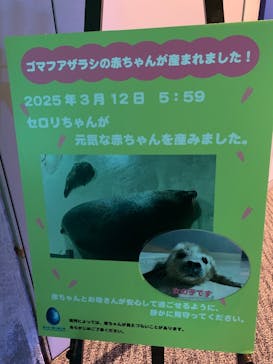 大分マリーンパレス水族館 「うみたまご」に投稿された画像（2025/3/22）