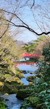 日本庭園　由志園に投稿された画像（2025/3/22）
