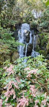 日本庭園　由志園に投稿された画像（2025/3/22）