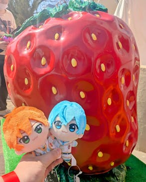 OSAKA Strawberry Festivalに投稿された画像（2025/3/22）