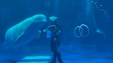 島根県立 しまね海洋館に投稿された画像（2025/3/22）