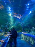 しながわ水族館に投稿された画像（2025/3/22）