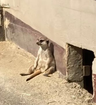 東武動物公園に投稿された画像（2025/3/22）