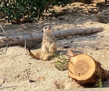 東武動物公園に投稿された画像（2025/3/22）