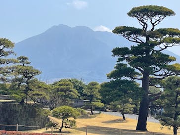 仙巌園に投稿された画像（2025/3/22）