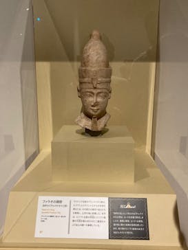ブルックリン博物館所蔵 特別展 古代エジプトに投稿された画像（2025/3/22）