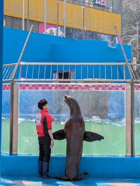 ゼロ距離水族館 伊勢シーパラダイスに投稿された画像（2025/3/22）