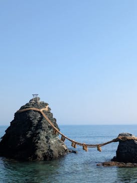 ゼロ距離水族館 伊勢シーパラダイスに投稿された画像（2025/3/22）