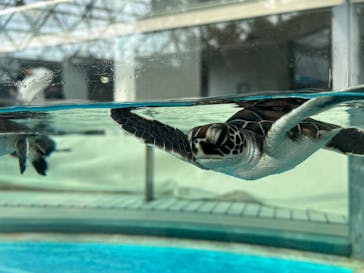 名古屋港水族館に投稿された画像（2025/3/22）