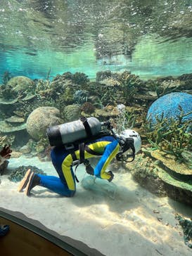 名古屋港水族館に投稿された画像（2025/3/22）