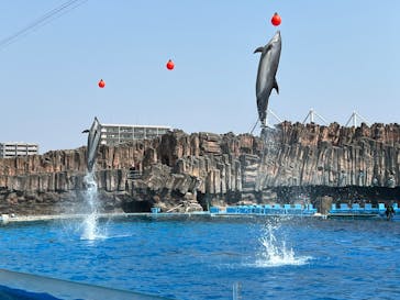 名古屋港水族館に投稿された画像（2025/3/22）