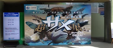 アクアワールド茨城県大洗水族館に投稿された画像（2025/3/22）