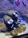 仙台うみの杜水族館に投稿された画像（2025/3/22）