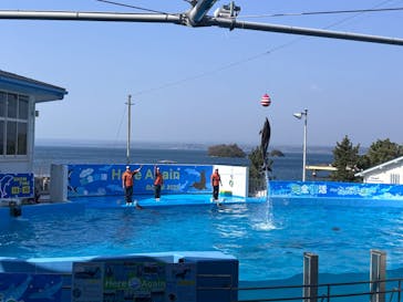 のとじま水族館に投稿された画像（2025/3/22）