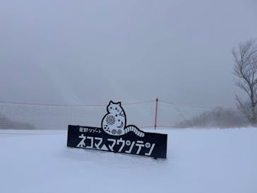 星野リゾート　ネコマ マウンテンに投稿された画像（2025/3/22）