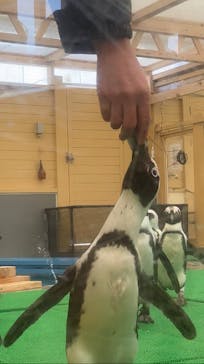 名古屋港水族館に投稿された画像（2025/3/22）