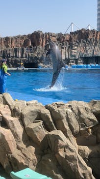 名古屋港水族館に投稿された画像（2025/3/22）